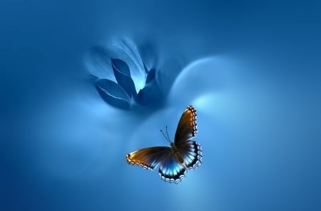 Blue Dreams - 3D and CG & Abstract Background Wallpapers on Desktop ...