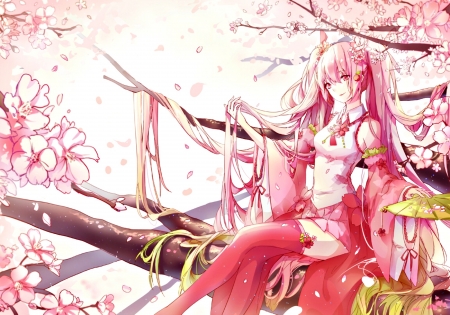 Sakura Miku - girl, sakura miku, spring, kinoko hime, white, vocaloid, pink, blossom, anime, manga, flower