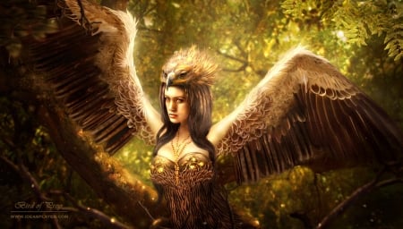 Bird of prey - feather, girl, art, wings, fantasy, bird of prey, ideasplayer, luminos, woman, green