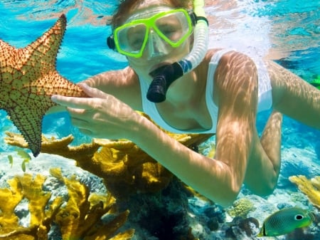 Scubadiving - vacation, water, star, sea