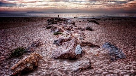 rocks on the beach at dusk hdr - vegetation, beach, hdr, sea, dusk, rocks