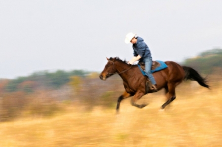 Cowboy - run, fast, cowboy, horse