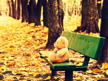 ??? - autumn, trees, toy, bench, nature, fall, yellow, mood, leaves, teddy bear