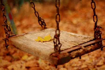 Melancholy - photography, swing, abstract, autumn