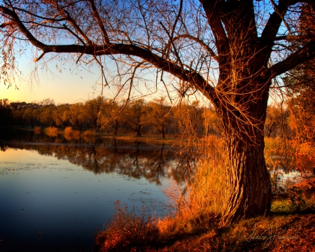 Autumn Nature - lake, fall, trees, water, leaves, colors