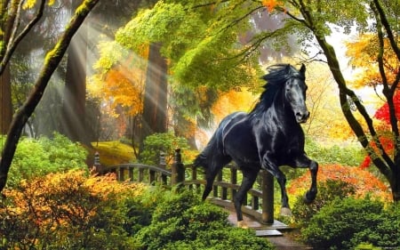 Beautiful - fall, horse, beautiful, leaves, branches, trees, autumn