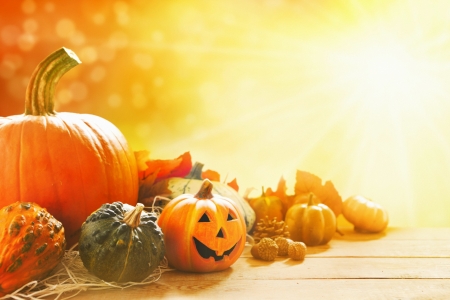 Autumn Still Life - jack o lantern, Autumn, pumpkins, acorns, Fall, gourds, Halloween, still life, leaves, pine cone