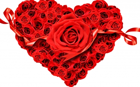 Heart - white, heart, red, valentine, ribbon, rose, flower