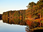 Reflection in lake