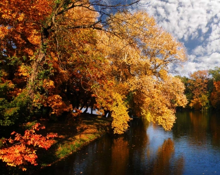 autumn reflections - reflections, nature, lake, autumn