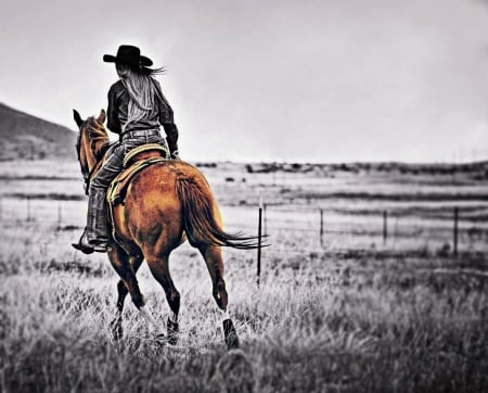 Riding - nature, horse, riding, wild, cowgirl, friends