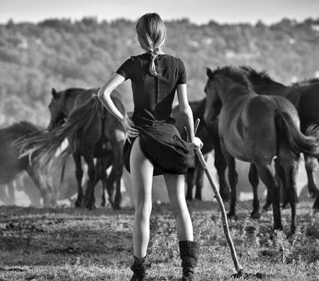 On duty - horses, funny, girl, on duty