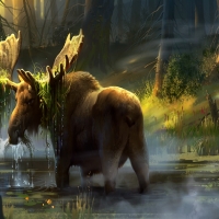 Moose In The Swamp