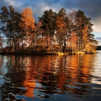 Beautiful Autumn Trees on the Lake