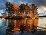 Beautiful Autumn Trees on the Lake