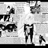 Information on Sasuke