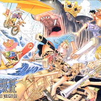 One Piece A Fight