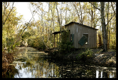 Bayou Autumn - shack, autumn, trees, yellow, water, leaves, bayou, gold