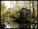 Bayou Autumn