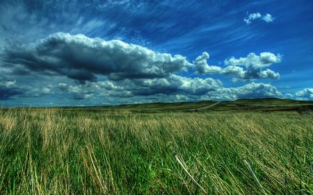 Landscape Wallpaper - fields, nature, landscape, clouds, skies, grass