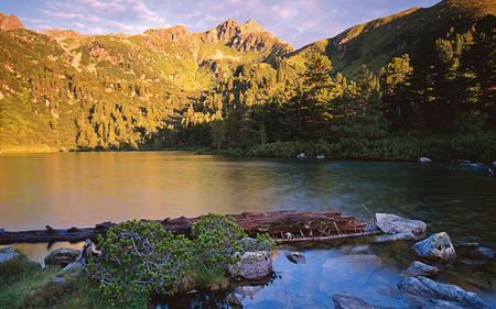 Austrian lake in the mountains - lake, forest, windows7theme, tree, mountains, austria