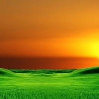 Orange And Green Landscape 