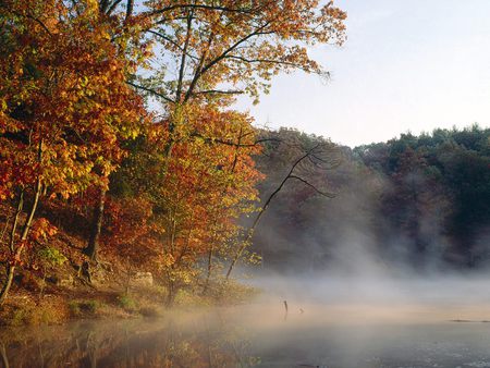 Mist And Autumn Color Along Stahl Lake Indiana - trees, indiana, colouful, autumn, mist, lake, stahl