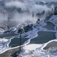 Frozen Ponds ( Satoyama )