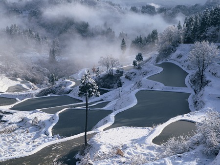 Frozen Ponds ( Satoyama ) - white, ice, frozen ponds, landscape, frost, satoyama, winter