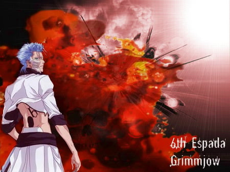 Sixth Espada Grimmjow - hollow, espada