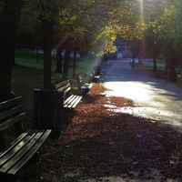 Autumn in Boston