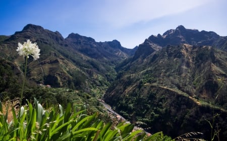 lovely valley town of serra de agua portugal - forest, mountains, town, road, valley