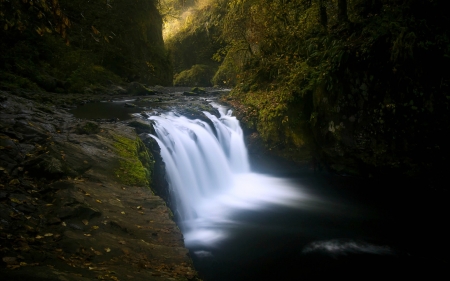 Lower Punchbowl Falls, Oregon - waterfall, forest, usa, nature