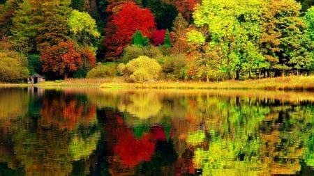 Autumn Lake - forest, nature, river, autumn