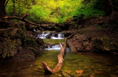 Nature - greenery, trees, nature, rivers