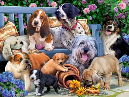 Garden dogs - adorable, bench, playing, dog, sweet, flowers, garden, cute, puppies