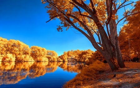 Autumn lake - trees, beautiful, tranquil, reflection, calmness, fall, autumn, serenity, lake, foliage, sky