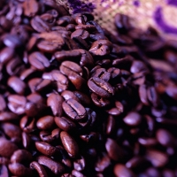 Coffee grains