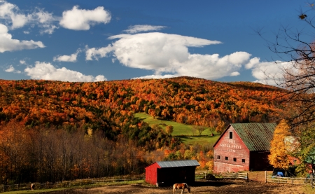 Maple Grove Farm, Vermont - autumn, trees, landscape, clouds, house