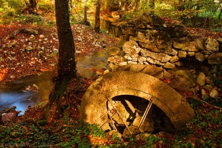 Watermill Creek - autumn, forest, trees, wheel, mill