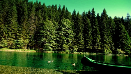 Calm Green River - river, ducks, wood, boat