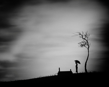 :) - abstract, cemetery, black and white, tree