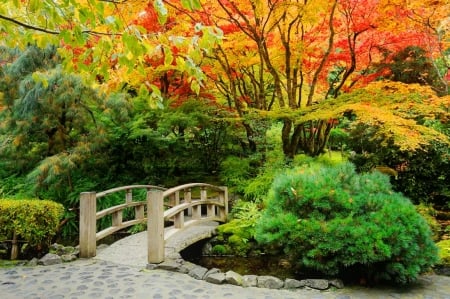 Bridge in autumn park - autumn, fall, trees, forest, beautiful, park, bridge