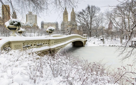 Frozen river - landscape, snow, river, city, winter, tree, frozen, bridge