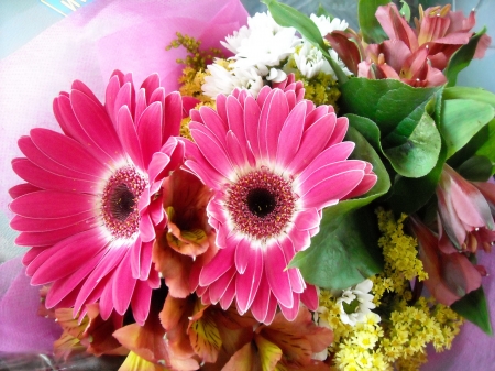 Flowers - blossoms, lilies, petals, bouquet, pink, gerbera