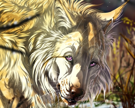 Farewell - fantasy, white, wolf, yellow, amethyst eyes, animal, digital, farewell, wolfroad