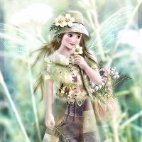 Lovely Fairy