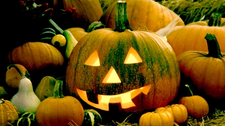 Jack O' Lantern - jack o lantern, Autumn, pumpkins, Fall, gourds, Halloween