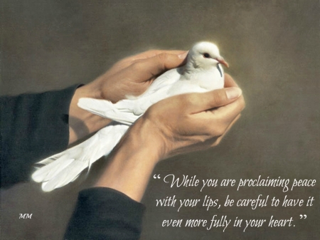 Peace - Quotes, Animals, Words, Dove, Thoughts, Bird, Wisdom