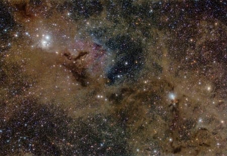 Stardust in Perseus - space, cool, fun, galaxy, stars